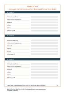 Wacker Formular Nr3 Gruendung einer GmbH 20170815 pdf